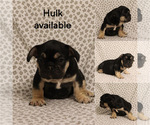 Image preview for Ad Listing. Nickname: Hulk