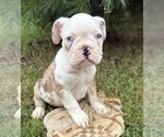 Image preview for Ad Listing. Nickname: Demi