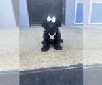 Image preview for Ad Listing. Nickname: Jackie
