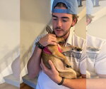 Small #3 Siberian Husky Mix