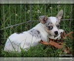 Image preview for Ad Listing. Nickname: Merle Alonso