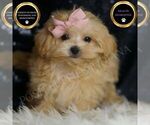 Image preview for Ad Listing. Nickname: Starbright