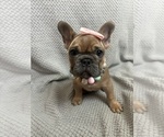 Image preview for Ad Listing. Nickname: Hazel