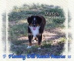 Image preview for Ad Listing. Nickname: Match