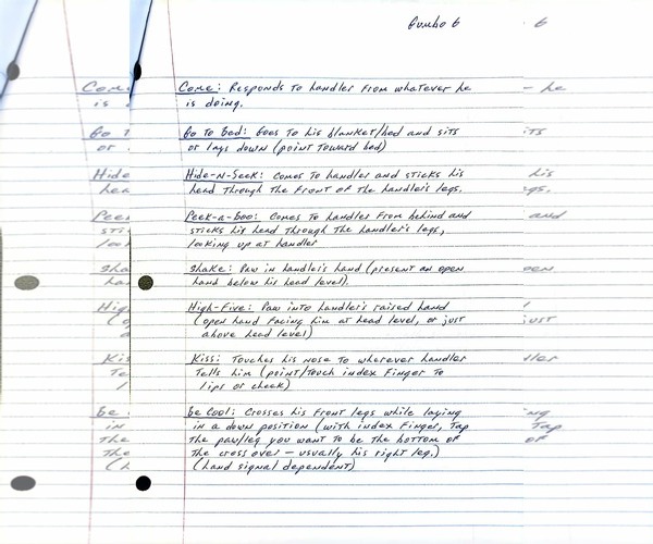 Medium Photo #8 American Bulldog-German Shorthaired Pointer Mix Puppy For Sale in Visalia, CA, USA