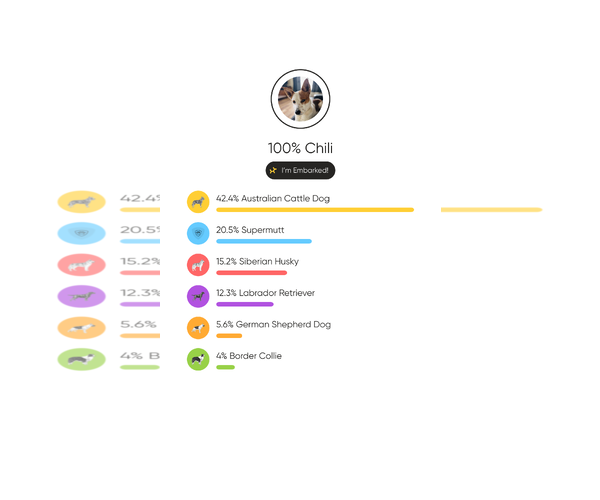 Medium Photo #3 Siberian Husky-Unknown Mix Puppy For Sale in Overland Park, KS, USA