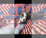 Image preview for Ad Listing. Nickname: Ivy