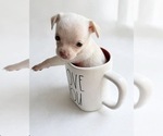 Image preview for Ad Listing. Nickname: Tiny