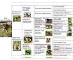 Small Photo #1 German Shepherd Dog Puppy For Sale in GOLDENDALE, WA, USA