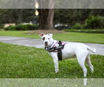 Small #2 Breeder Profile image