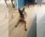 Small #2 Mutt
