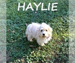 Image preview for Ad Listing. Nickname: Haylie