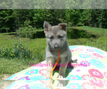 Image preview for Ad Listing. Nickname: Tangerine Coast