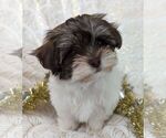 Image preview for Ad Listing. Nickname: Smores