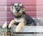 Image preview for Ad Listing. Nickname: Tia