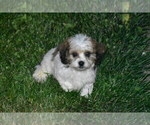 Image preview for Ad Listing. Nickname: Darcy