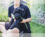 Image preview for Ad Listing. Nickname: Junie