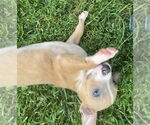 Small #1 Breeder Profile image