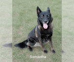 Small #1 Breeder Profile image