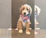 Image preview for Ad Listing. Nickname: SPARKLER