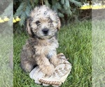 Image preview for Ad Listing. Nickname: Luca