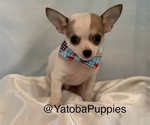 Image preview for Ad Listing. Nickname: Shorty