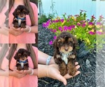 Image preview for Ad Listing. Nickname: Cupcake