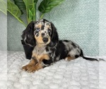 Image preview for Ad Listing. Nickname: Diamond