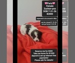 Image preview for Ad Listing. Nickname: Paris