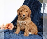 Image preview for Ad Listing. Nickname: Jasmine