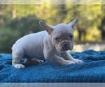 Image preview for Ad Listing. Nickname: Mattie