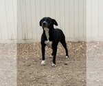Small #2 Breeder Profile image