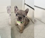 Image preview for Ad Listing. Nickname: Barney