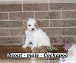 Image preview for Ad Listing. Nickname: Scout
