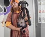 Small #3 Mutt