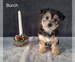 Image preview for Ad Listing. Nickname: Burch
