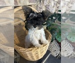 Image preview for Ad Listing. Nickname: Blanca