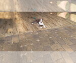 Small #4 Boston Terrier