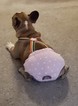 Small Photo #24 French Bulldog Puppy For Sale in ADRIAN, MI, USA