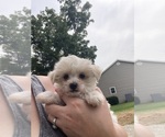 Image preview for Ad Listing. Nickname: Casper