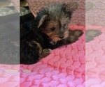  - Photo #3