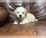 Image preview for Ad Listing. Nickname: Jamie