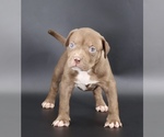 Image preview for Ad Listing. Nickname: Shelly