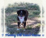 Image preview for Ad Listing. Nickname: Match