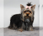 Image preview for Ad Listing. Nickname: Tiny Malentha