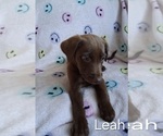 Image preview for Ad Listing. Nickname: Leah