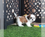 Image preview for Ad Listing. Nickname: Bridget