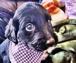 Image preview for Ad Listing. Nickname: Happy