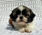 Image preview for Ad Listing. Nickname: henri