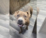 Small #2 Mutt